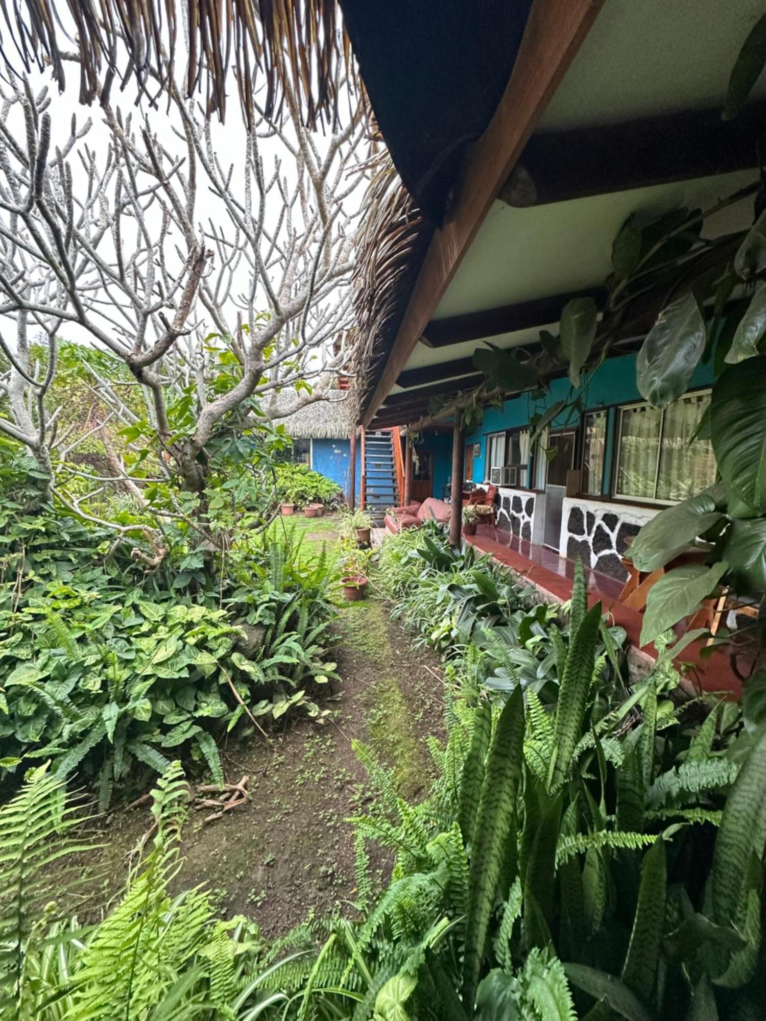 Hare Henua Bed&Breakfast Hanga Roa Esterno foto