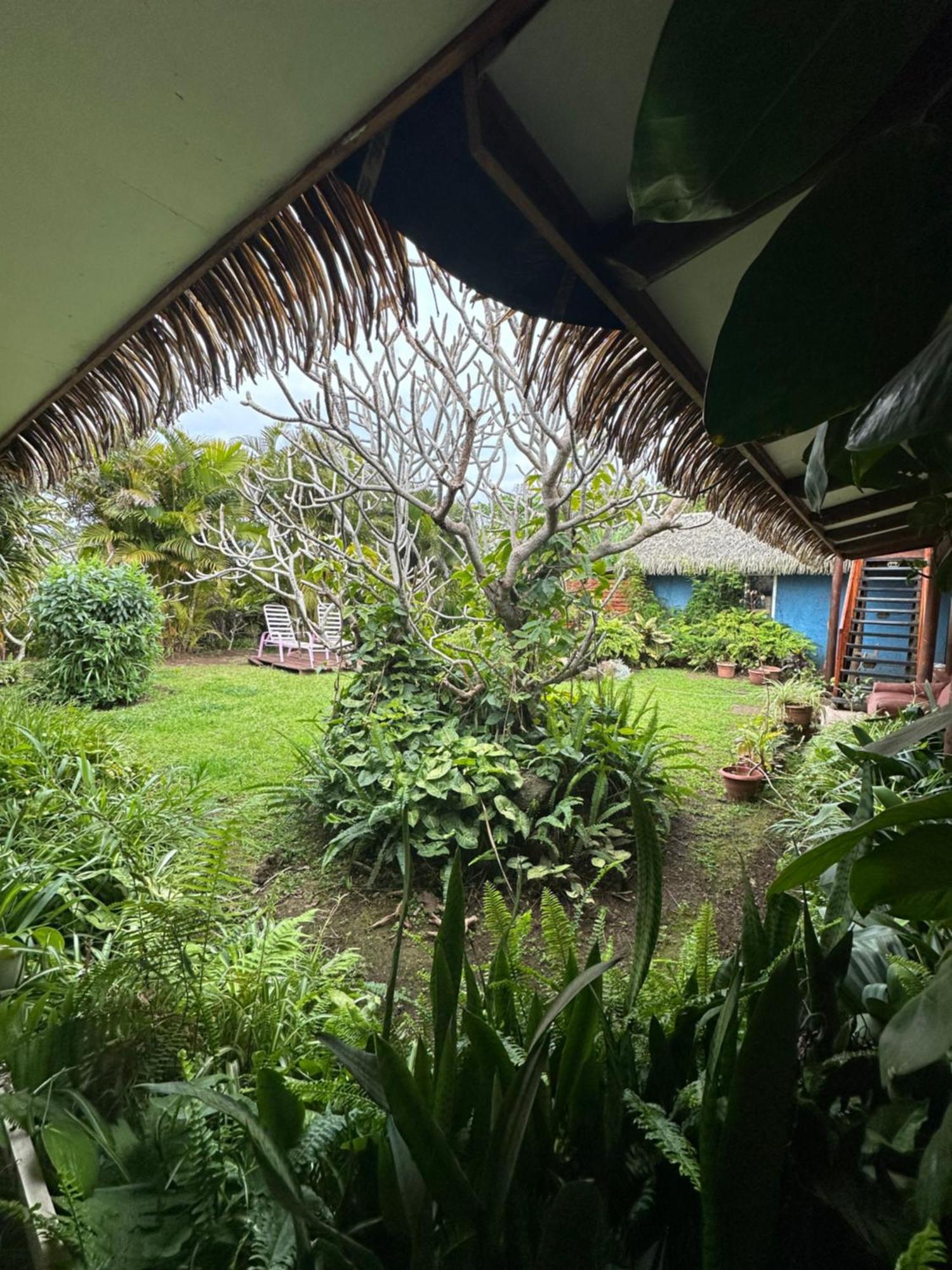Hare Henua Bed&Breakfast Hanga Roa Esterno foto
