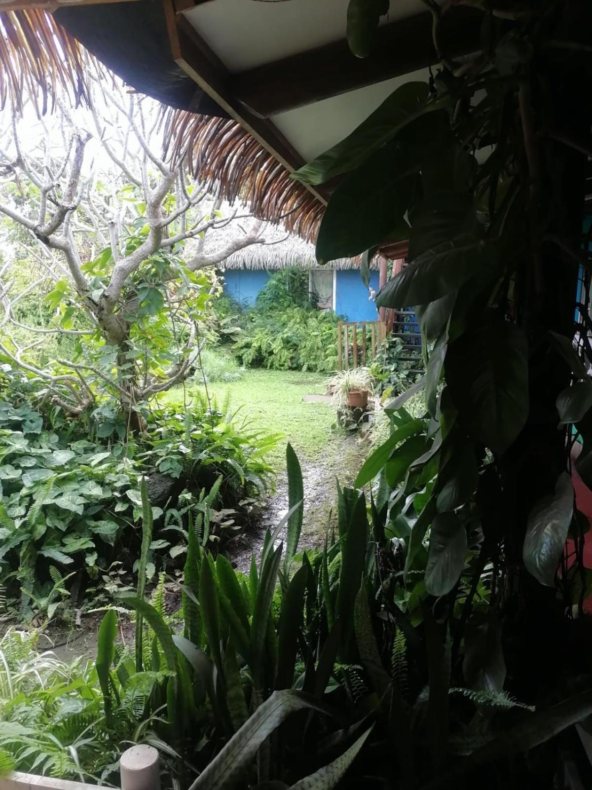 Hare Henua Bed&Breakfast Hanga Roa Esterno foto